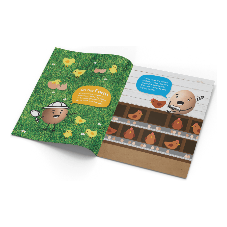 A5 Half-Fold Brochure Design